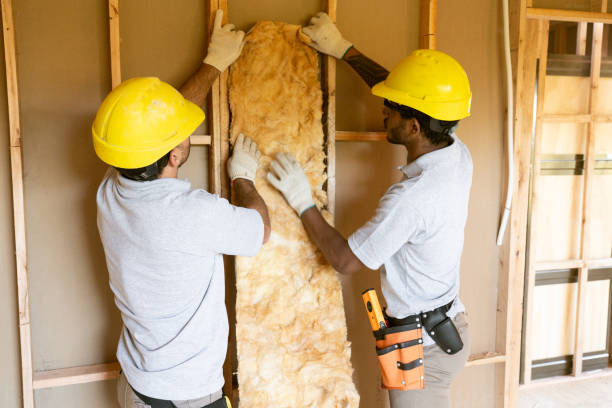 Best Insulation for New Construction  in Hudson, PA